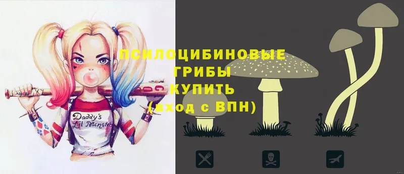 купить наркотик  Петровск-Забайкальский  hydra вход  Псилоцибиновые грибы MAGIC MUSHROOMS 